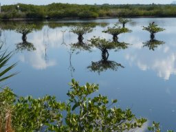 Florida_2007-2008-045